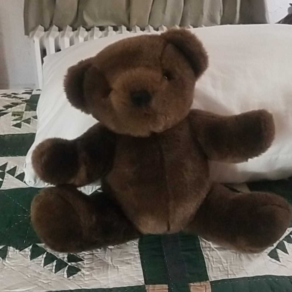 Stuffed Teddy